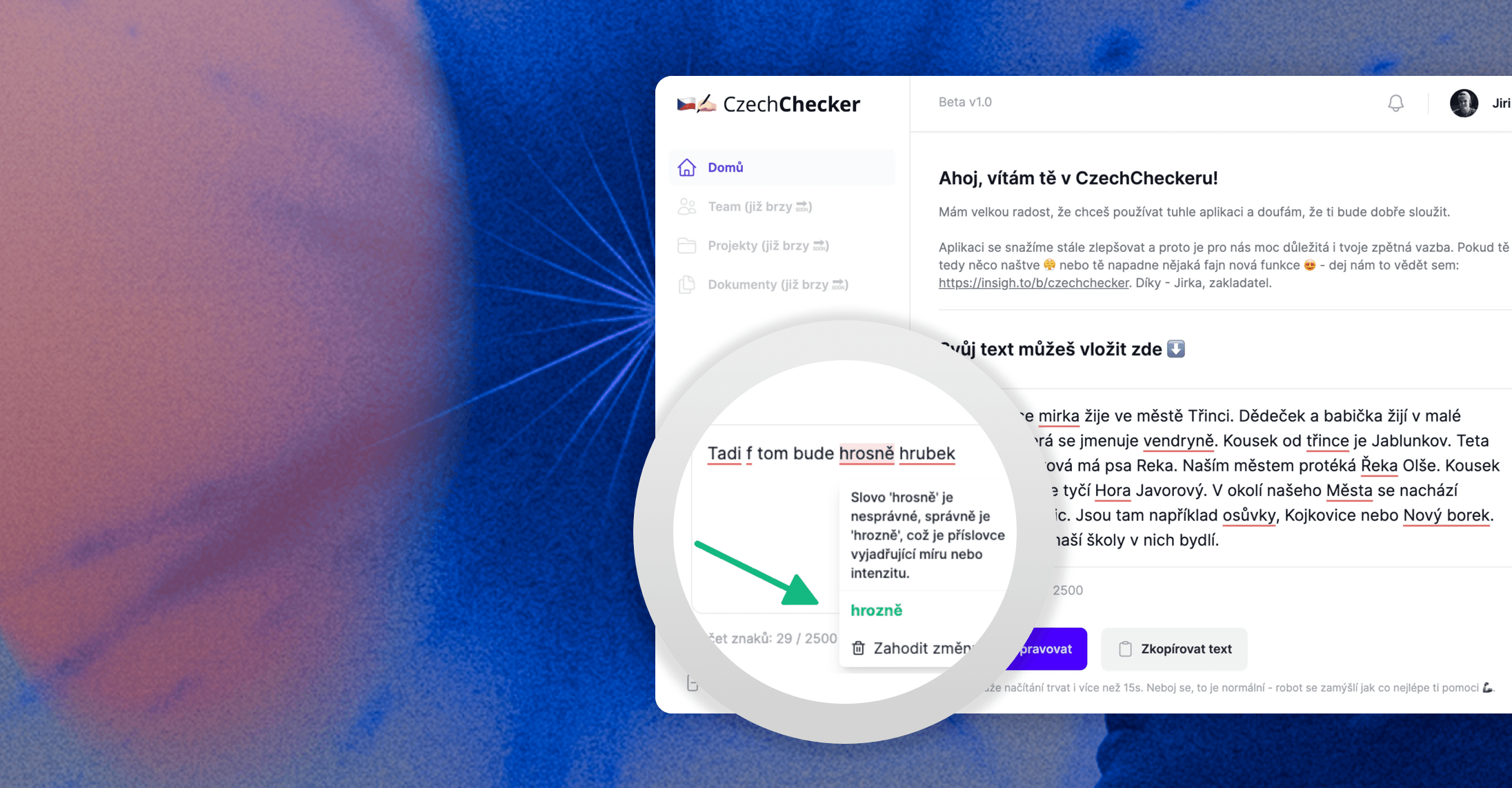 CzechChecker: Grammarly for Czech