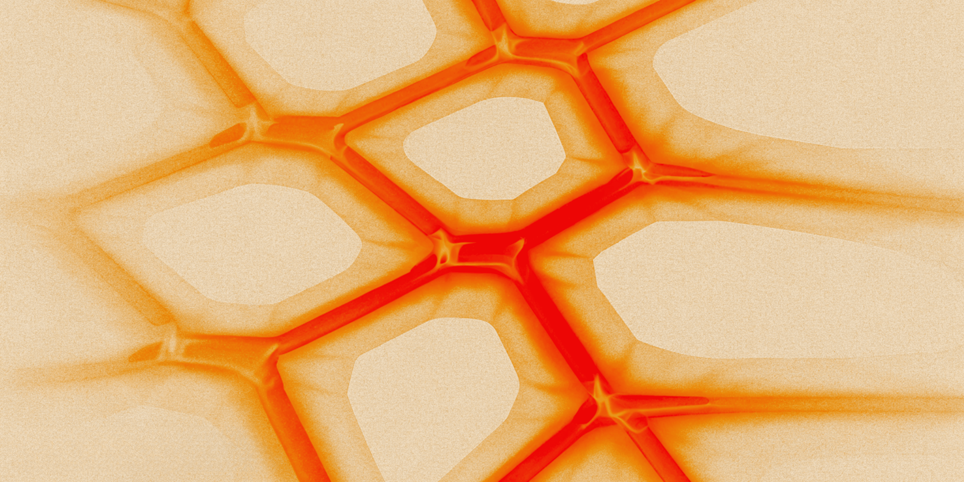 Extracting Secrets: Model Extraction via Bias Maps